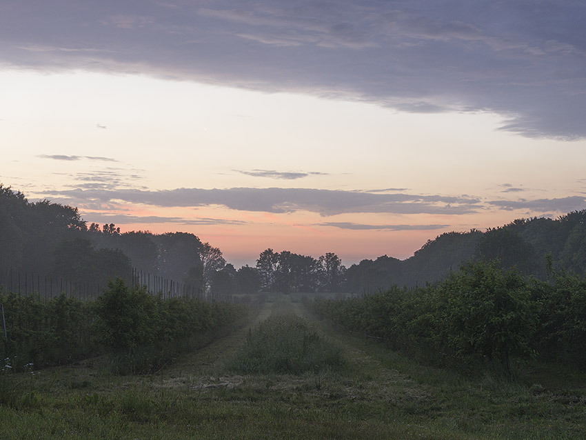 solnedgang